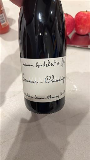 Thung lũng sông Loire Saumur-champigny Maison Andebert et Fils Không niên vụ