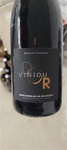 Valle della Loira Saint-Nicolas-De-Bourgueil Estelle Cognard D'Or 2021