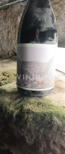 Languedoque Languedoc Domaine Des 2 Clés 2020