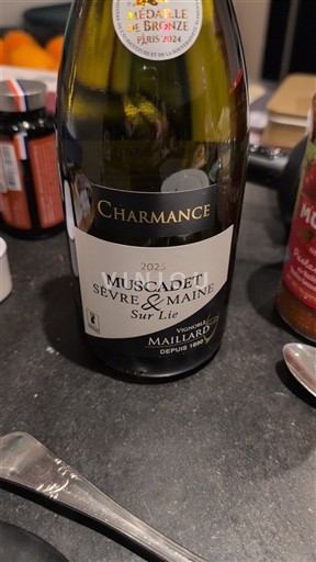 Valle della Loira Muscadet Sèvre et Maine Domaine La Tourlaudière 2023