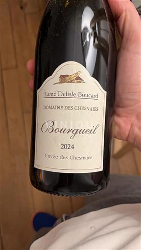 Loirevallei Bourgueil Domaine Lamé Delisle Boucard - Domaine des Chesnaies des Chesnaies 2024