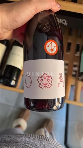 Linguadoca e Rossiglione Paese d'Oc Vignerons de la Vicomté Récon Senza annata