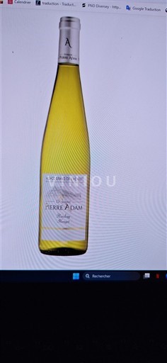 Alsácia Pierre Adam Riesling Hengst 2020