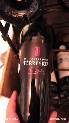 Bordeaux Ferreyres Les Silex du Château 2018