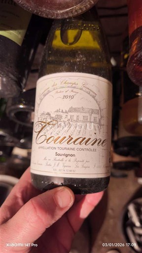 Valle della Loira Touraine Domaine Des Champs Gonneau 2010