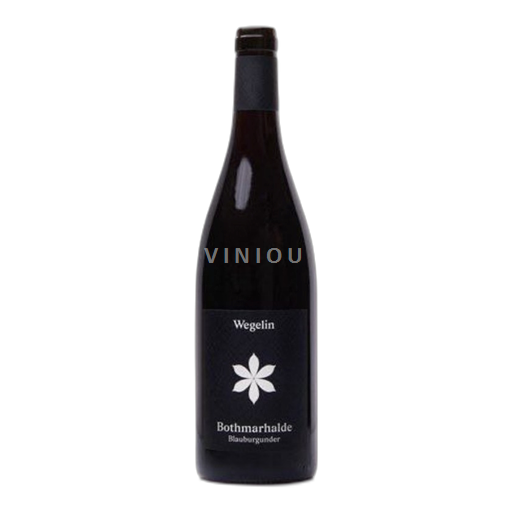 Grisons (Graubünden) Graubünden AOC Wegelin Weine AG Bothmarhalde 2023