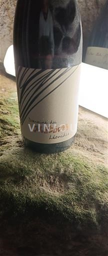 Langvedok Faugères Domaine Météore Léonides Neleten.