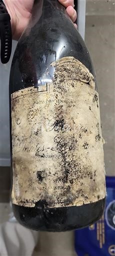 Borgogna Hautes Côtes de Beaune Domaine Berger-Rive 1994