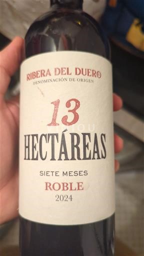 Castilië en León Ribera del Duero 13 Hectáreas Roble Siete Meses 2024