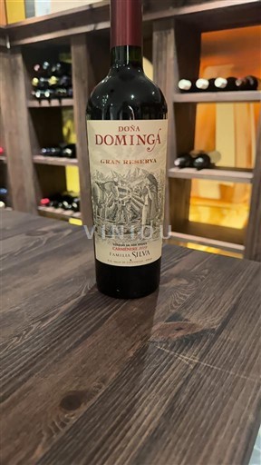 Rapel-Tal Colchagua-Tal Familia Silva Doña Dominga Gran Reserva 2019