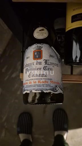 Thung lũng sông Loire Không được chỉ định Domaine La Roche Moreau 2011