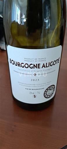 Burgund Bourgogne Aligoté Johannes Chanut 2023