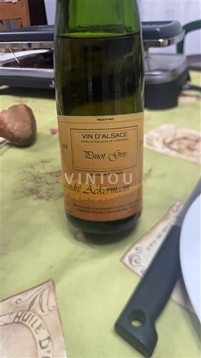 Alsace André Ackermann 2008