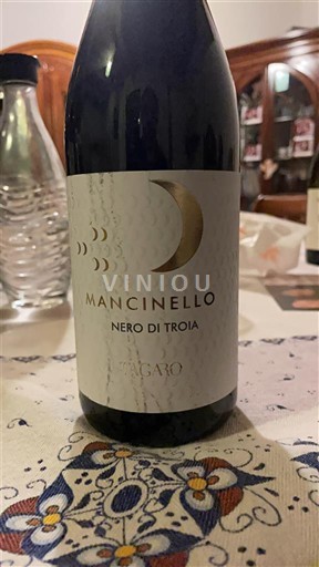 Apulia No especificado Il Sogaro Mancinello Nero di Troia 2021