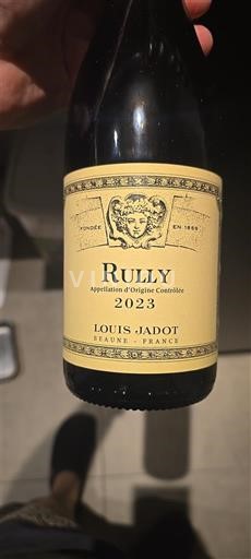 Bourgogne Rully Louis Jadot 2023