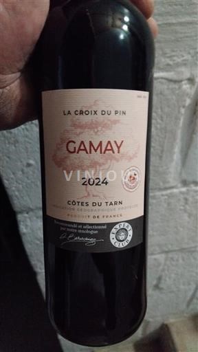 Zuidwest-Frankrijk Côtes du Tarn La Croix du Pin 2024