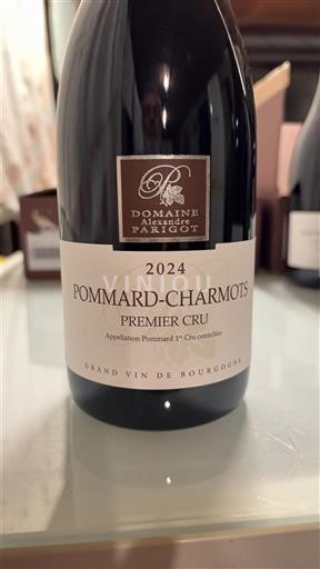 Bourgogne Pommard Premier Cru Domaine Alexandre Parigot Pommard-Charmots Premier Cru 2024