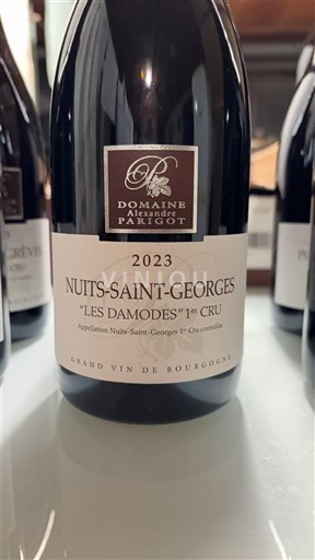 Burgund Nuits-Saint-Georges Premier Cru Domaine Alexandre Parigot Les Damodes 1er Cru 2023