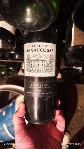 Burdeos Bordeaux Château Arnaucosse 2016