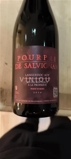 Langvedok Languedoc Les Vignobles de Sauvian Pourpre de Salvignan 2021