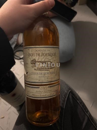 Tây Nam Côtes-de-bergerac Domaine Bois de Pourquié 1999