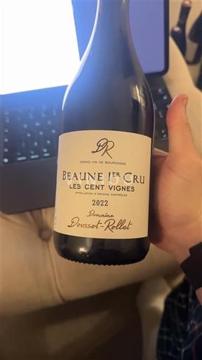 Borgogna Non specificato Premier Cru Domaine Dousset-Rollet Les Cent Vignes 2022
