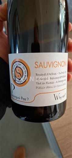 Loirevallei Pourquoi Pas Sauvignon 2023