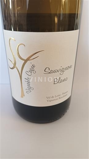 Dolina Loare Pouilly-fumé Vignoble Cogue 2022