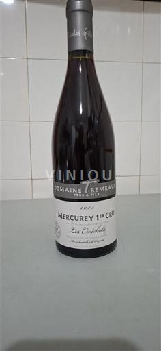 Borgogna Mercurey Premier Cru Domaine Tremeaux Les Croichots 2019