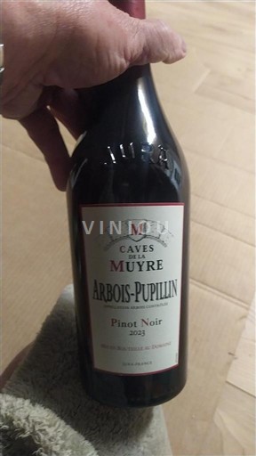 Jura Arbois-Pupillin Caves Jean Mure 2023