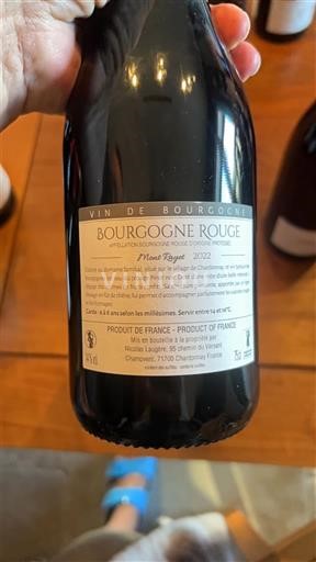 Bourgogne Bourgogne Trắng, Đỏ, Hồng Les Cadoles Pinot Rouge 2022