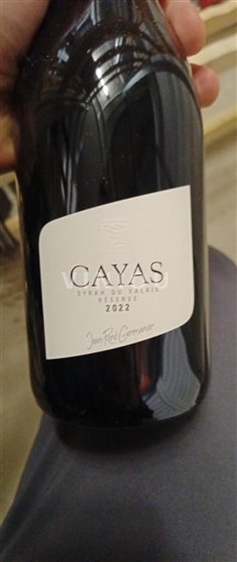 Valais Syrah du Valais Jean René Germanier Cayas 2022
