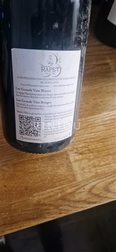 Vine Rouge sec Rapet Père & Fils 2014 Frankrig Bourgogne Pernand-Vergelesses AOC