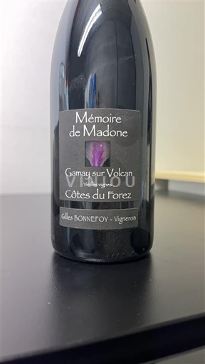 Thung lũng sông Loire Côtes-du-forez Les Vins de la Madone Mémoire de Madone - Gamay sur Volcan Vieilles Vignes 2022