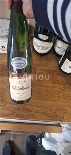 Alsácia Paul Schneider Não Sazonado