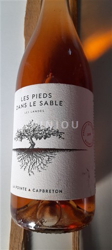 Sudoeste No especificado La Pointe à Capbreton Les Pieds dans le Sable 2018