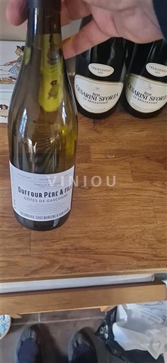 Sudoeste Côtes de Gascogne Dufour Père & Fils 2024