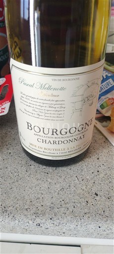 Burgundy Pascal Milcentette 2023