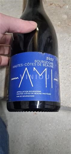 Borgogna Hautes Côtes de Beaune AMI 2022
