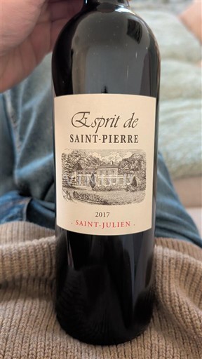 Wijnen Rouge sec Esprit de Saint-Pierre Château Saint-Pierre 2017 Frankrijk Bordeaux Saint-Julien AOC