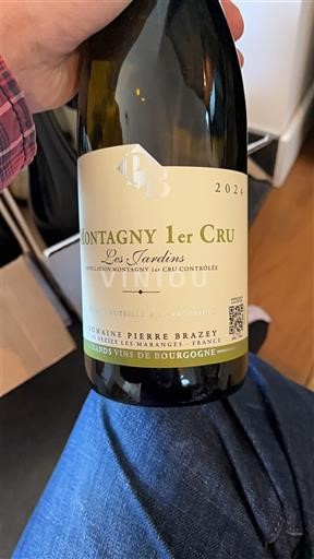 Borgoña No especificado Premier Cru Domaine Pierre Brazey Les Jardins 2024