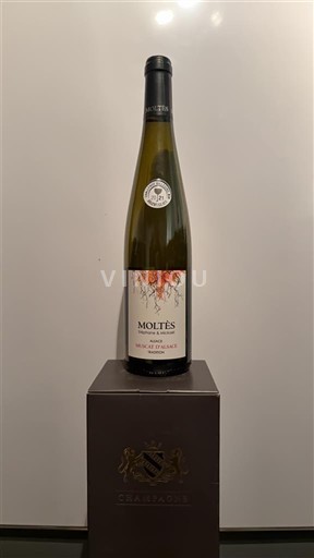 Alsace Muscat Moltes Stéphane & Mickael Tradition 2019