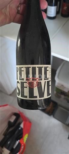 Alpes và các vùng Rhodanien Coteaux de l'Ardèche Domaine La Selve Petite Selve 2019