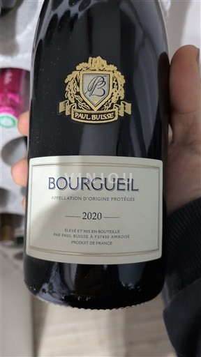 Valle della Loira Bourgueil Paul Buisse 2020
