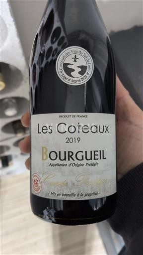 Dolina Loare Bourgueil Les Coteaux 2019