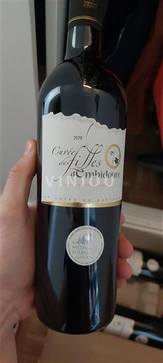 Sudoeste Côtes de Gascogne Les Filles d'Ambidoure des Filles 2020