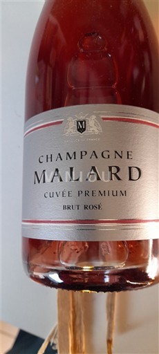 Champagne Champagne Malard Premium 2023