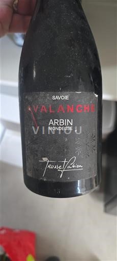 Jura Arbois Trosset Fabien Avalanche 2017