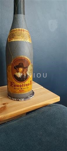 La Rioja Rioja Faustino I Gran Reserva 1999