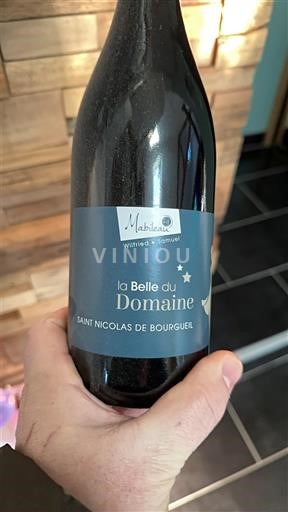 Loire Valley Saint-Nicolas-De-Bourgueil Mabileau la Belle du Domaine 2018